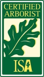 Arboriculteur certifié ISA à Granby – certification professionnelle en émondage et abattage d’arbres