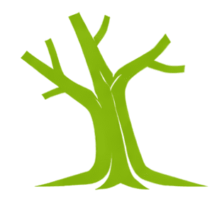 Arbre mort à Granby prêt pour un service d’abattage professionnel