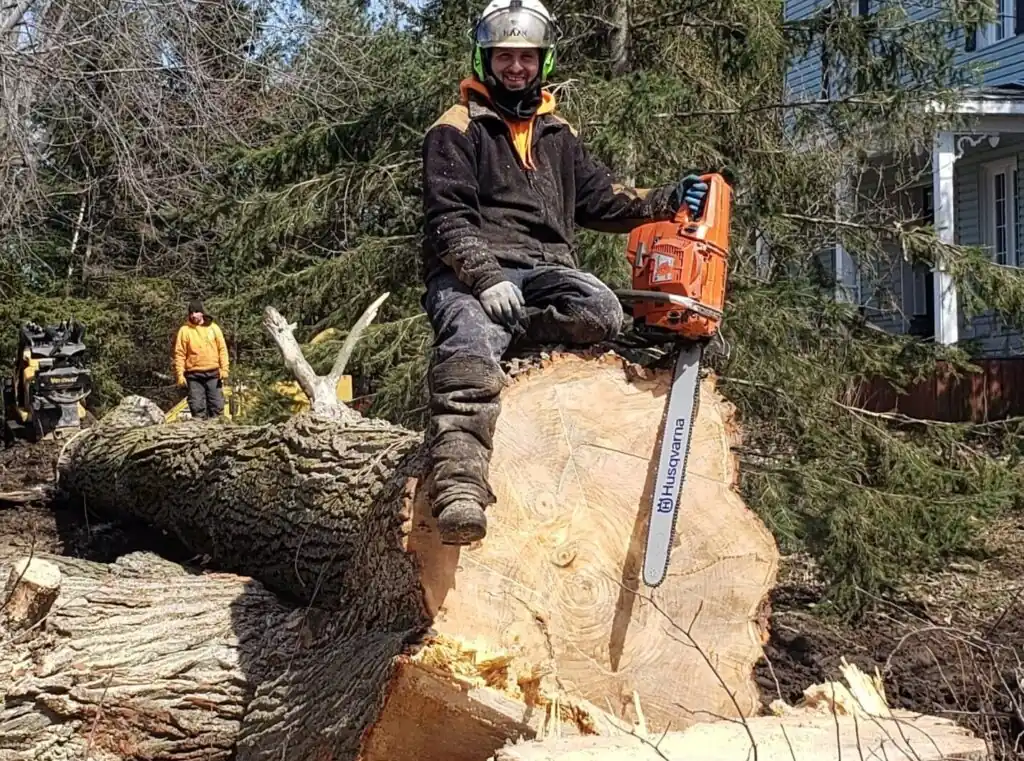 Déboisement et coupe d’arbre à Granby avec arboriculteur utilisant une tronçonneuse